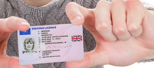 Driving Licence Check